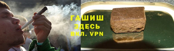 ГАЛЛЮЦИНОГЕННЫЕ ГРИБЫ Бородино