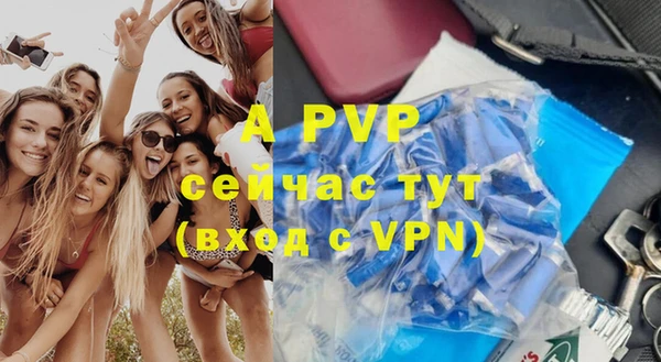 ГАЛЛЮЦИНОГЕННЫЕ ГРИБЫ Бородино