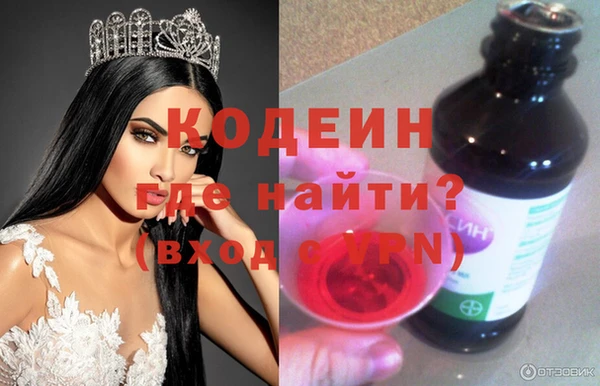 ГАЛЛЮЦИНОГЕННЫЕ ГРИБЫ Бородино