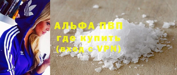 ГАЛЛЮЦИНОГЕННЫЕ ГРИБЫ Бородино