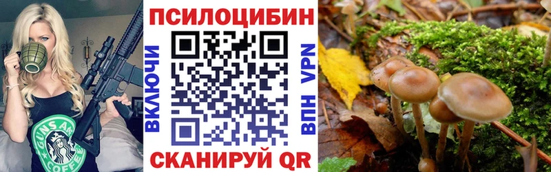 Галлюциногенные грибы мицелий  купить наркотики цена  Воронеж 